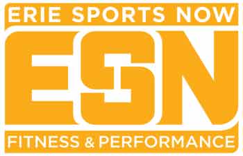 ESN-gold.logo